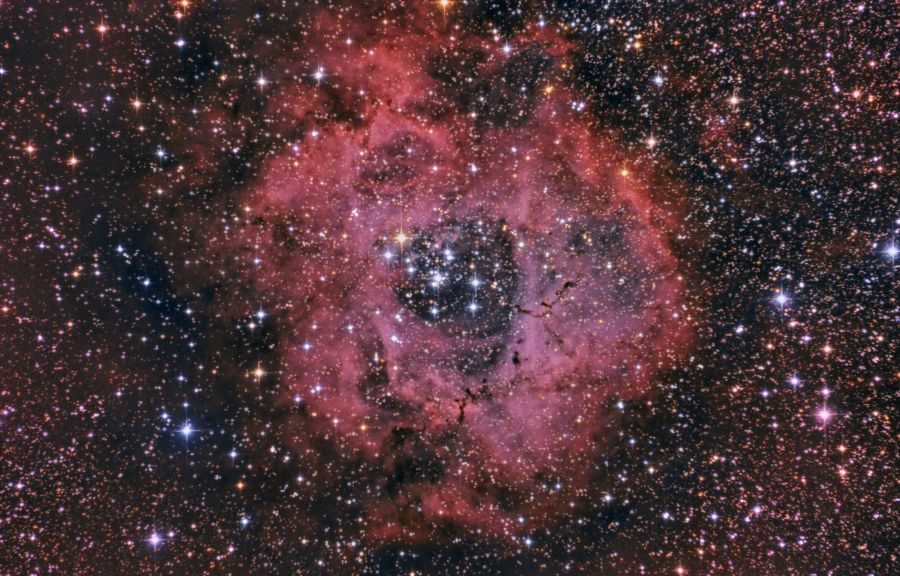 NGC 2237 – Rosette Nebula