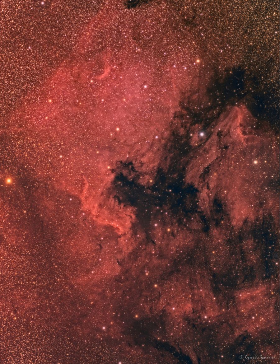 North America and Pelican Nebulae