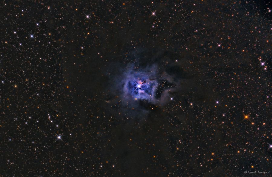 NGC7023 – Iris Nebula