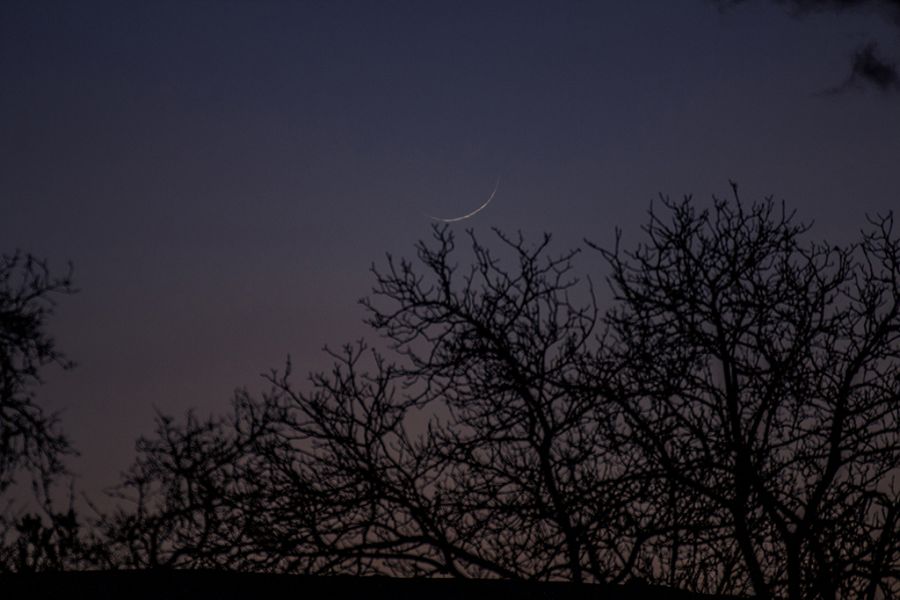 La Luna dopo il Novilunio