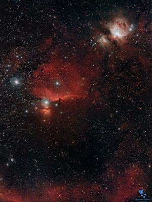 Inside Orion