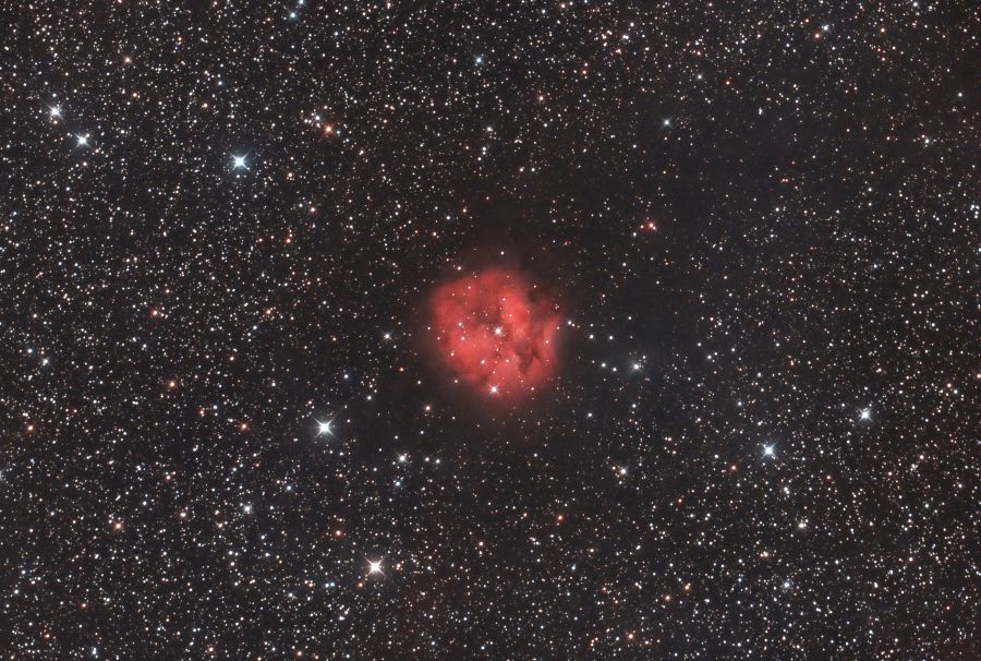 cocoon nebula