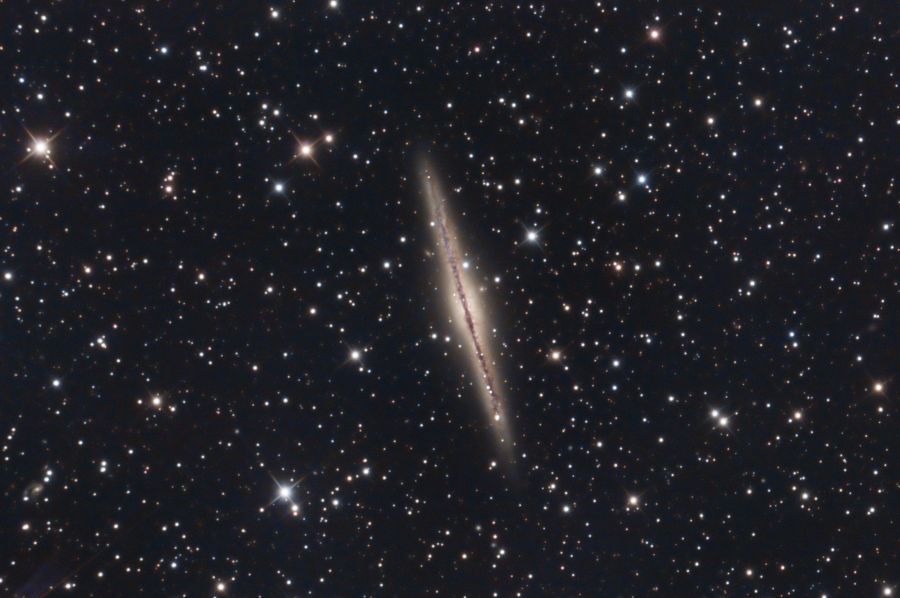 ngc 891