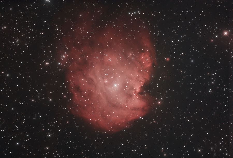 nebulosa testa di scimmia