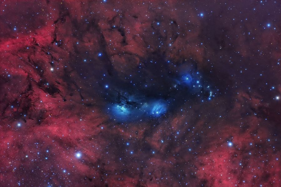 NGC6914 vdB131 vdB132