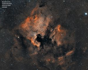 NGC 7000