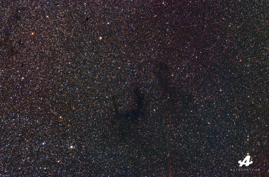 Barnard 336