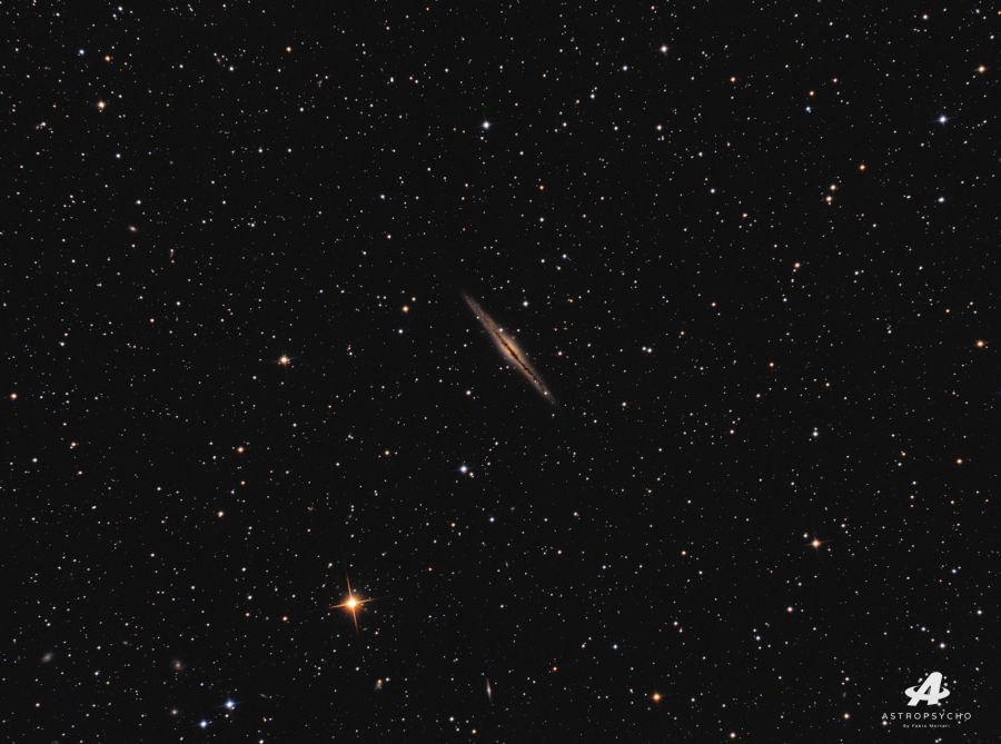 NGC891