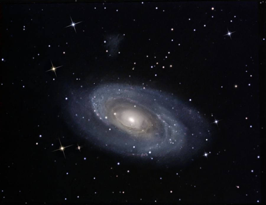 M81