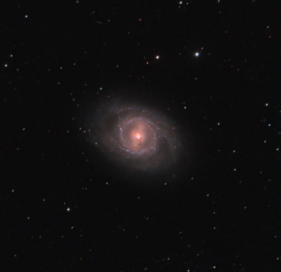 GALAXY A SPIRALE BARRATA M95 (NGC 3351)