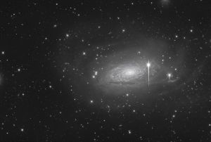 La reale dimensione apparente di M63: Sunflower Galaxy