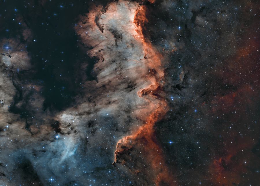 NGC 7000 – Muro del Cigno