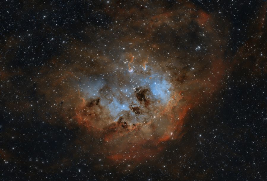 IC 410 Nebulosa Girino