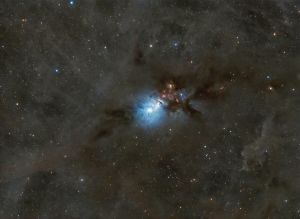 NGC 1333 Nebulosa Embrione