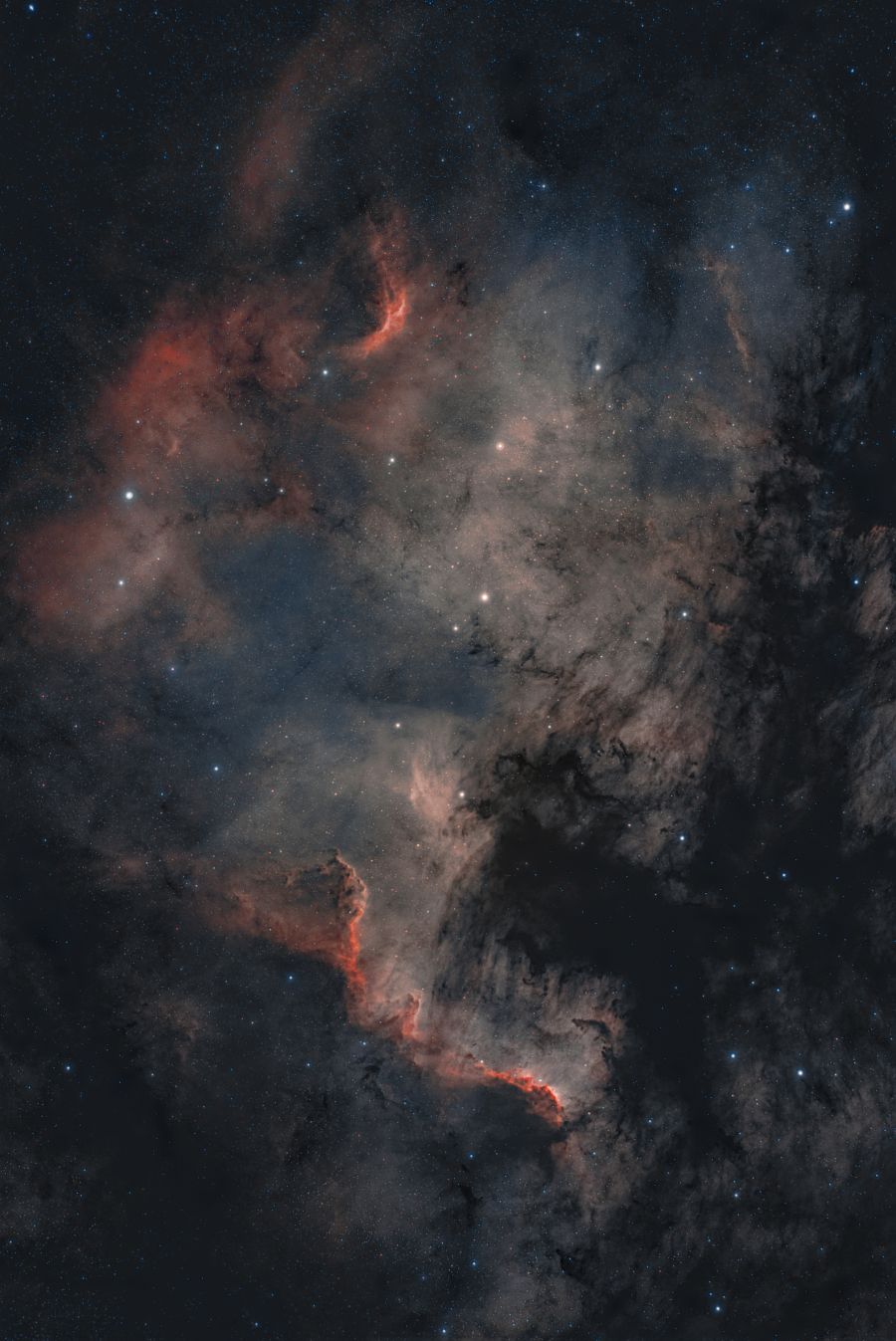 Nebulosa Nord America NGC 7000