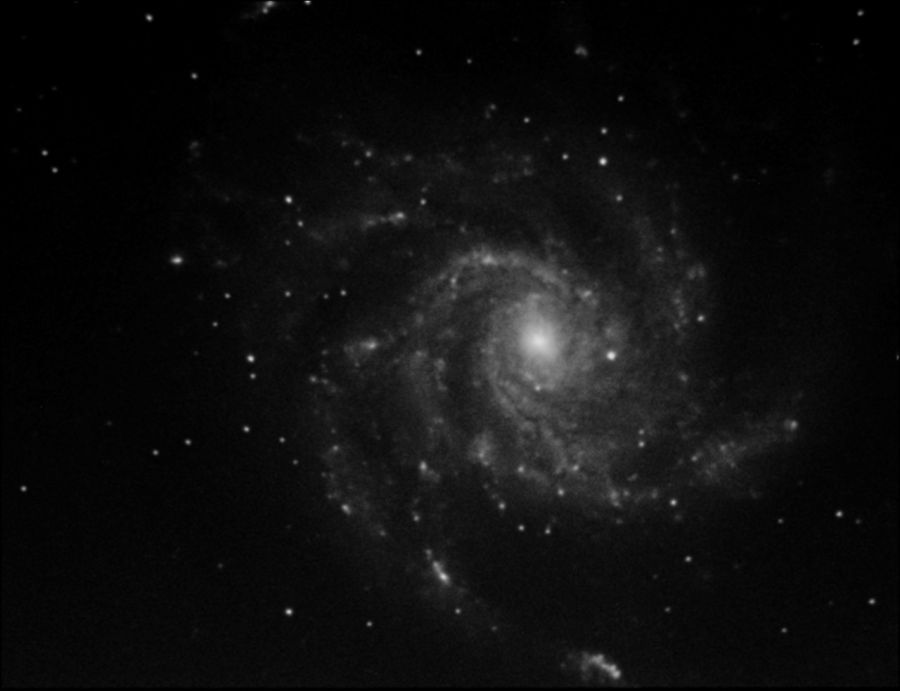 M101