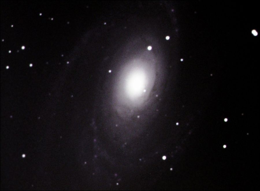 M81