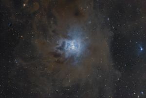 NGC7023 - Iris nebula