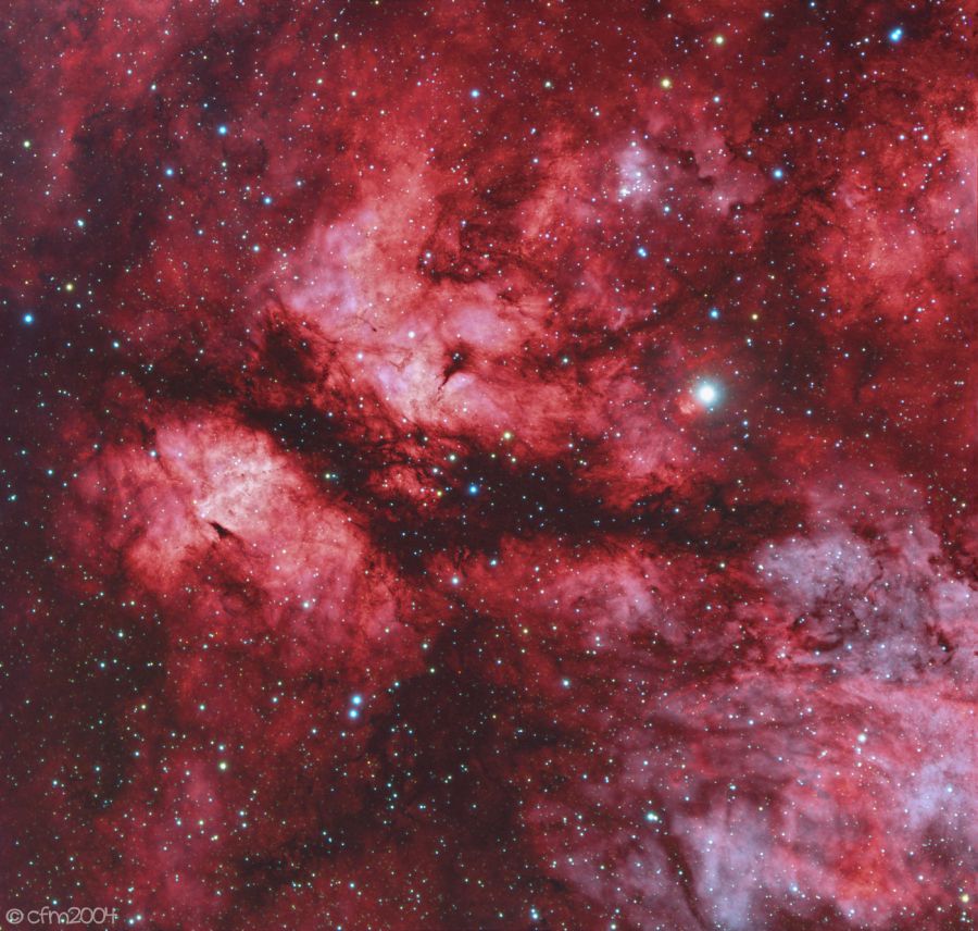 IC1318 Nebulosa Farfalla