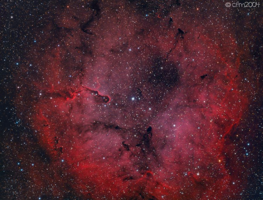 IC1396 in Cepheo