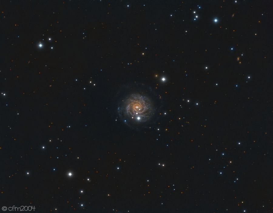 NGC 3344 Galassia nel Leone Minore