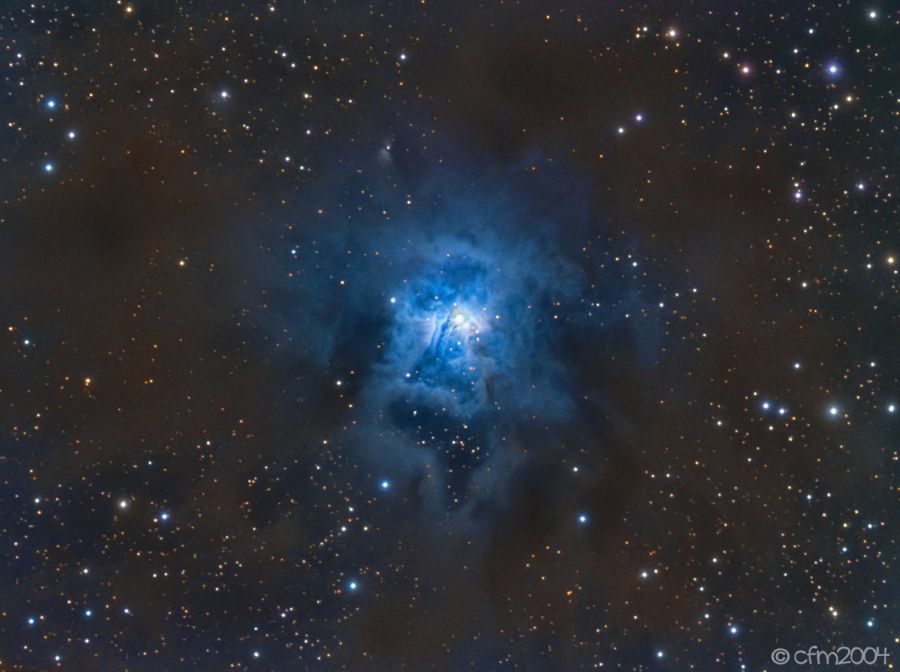 NGC7023 Nebulosa Iris