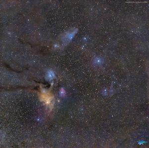 Complesso Rho Ophiuchi e IC4592 Testa di cavallo azzurra