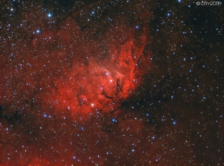 SH2-101 nebulosa Tulipano