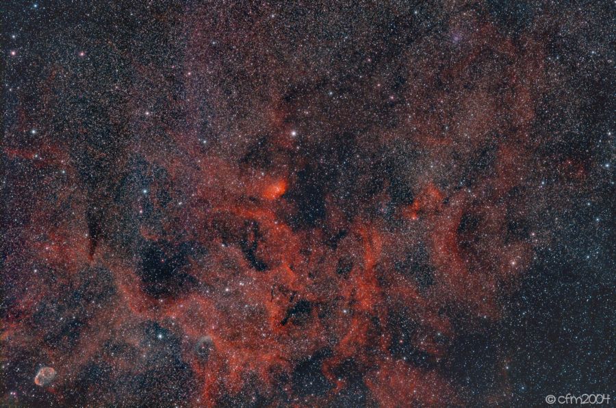 Nebulosa Tulipano a campo largo