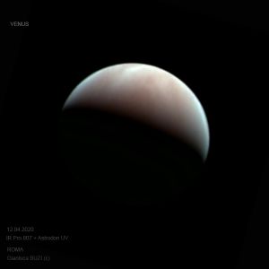 VENUS