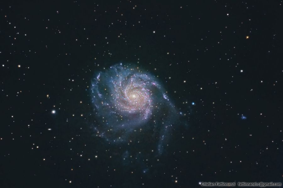 M101