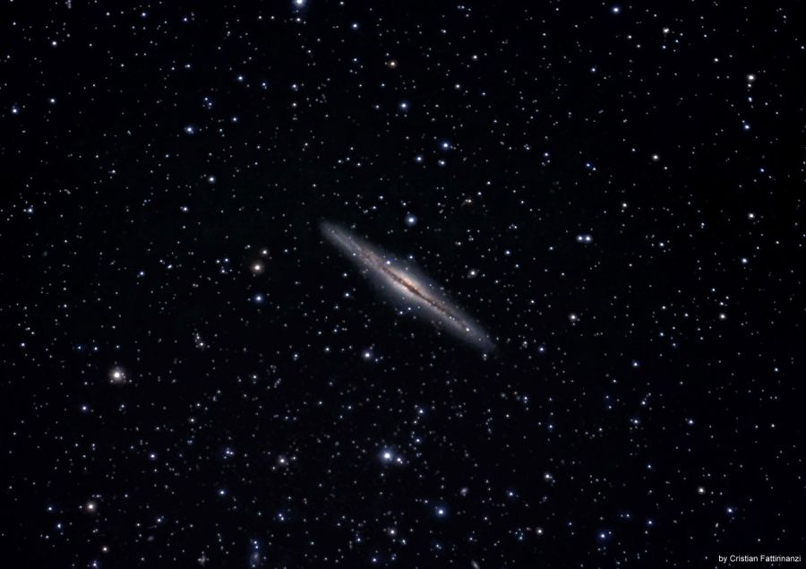 Ngc 891