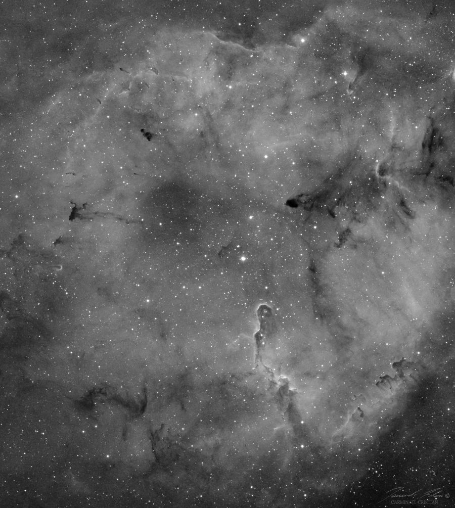 IC1396 Elephant Trunk