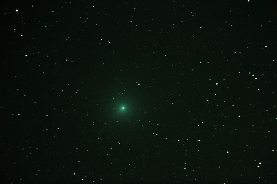 Cometa Wirtanen 46P