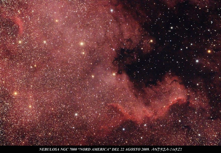 Nebulosa NGC 7000 Nord America