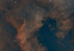 Cygnus Wall