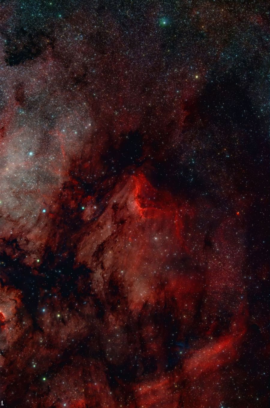 Nebulosa Pellicano ic5070