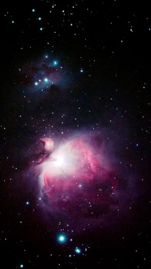 M42 e dintorni