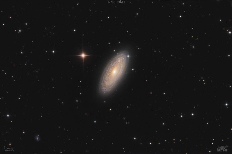 NGC2841