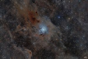 NGC 7023 - IRIS e nebulosa oscura