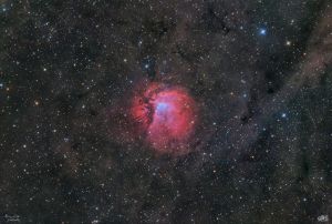 Sh2-112 Un Fiore nel Cigno