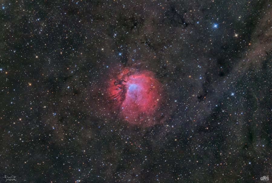 Sh2-112 Un Fiore nel Cigno