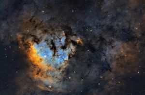 Il cuore della Nebulosa Teschio Fiammeggiante NGC7822