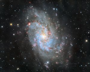 alassia del Triangolo M33