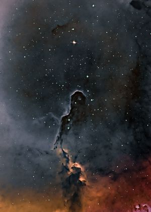 Nebulosa Proboscide di Elefante