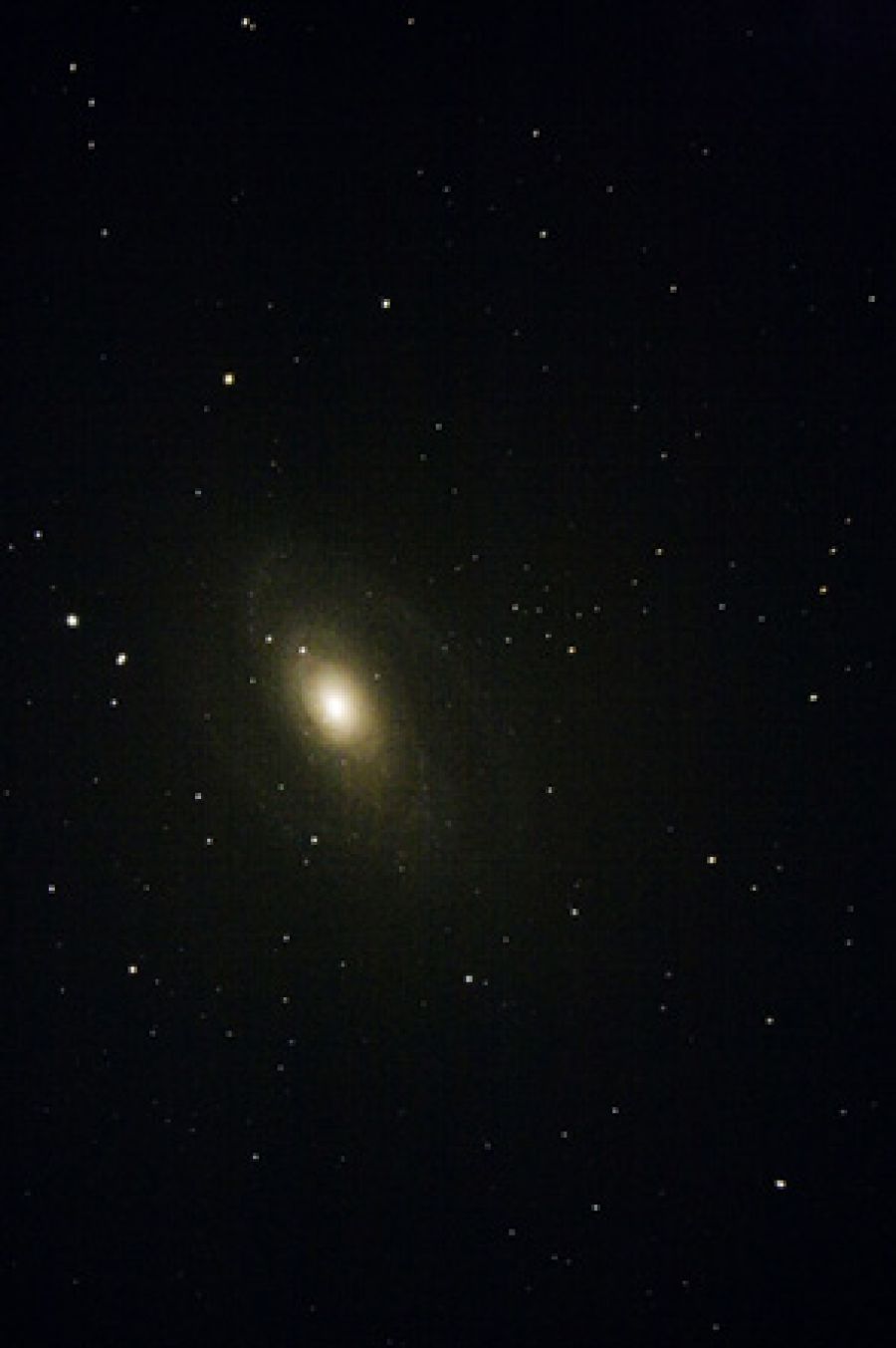 M81