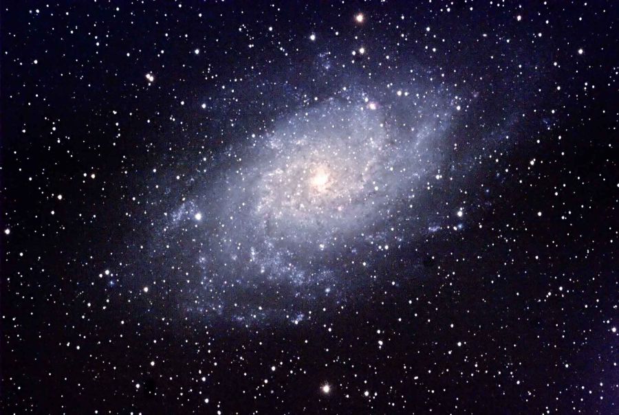 M33