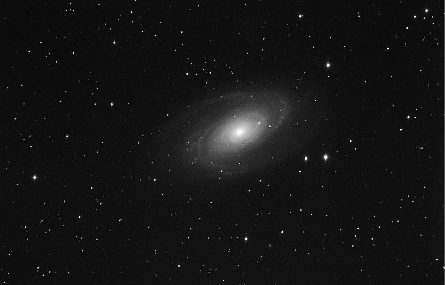 M81