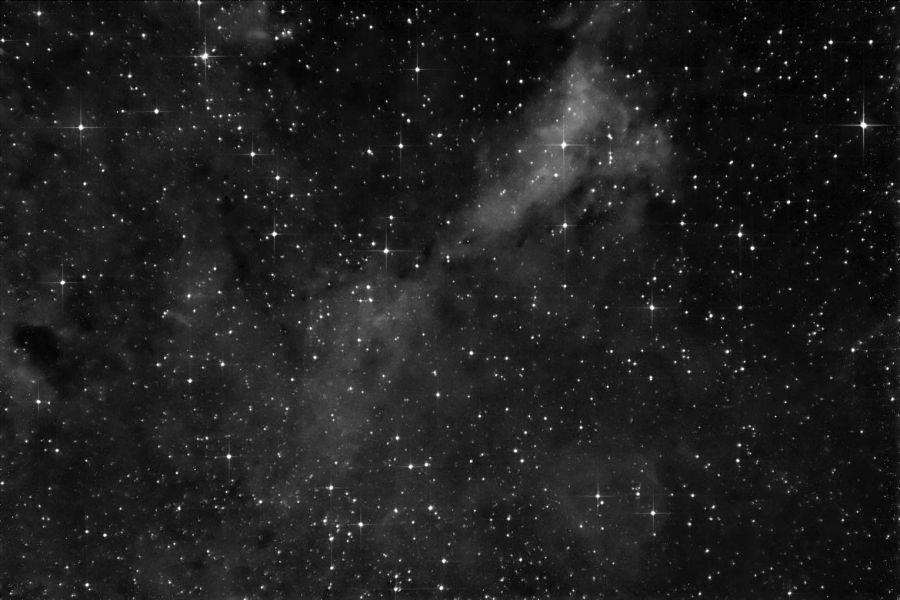 Ic 1318A