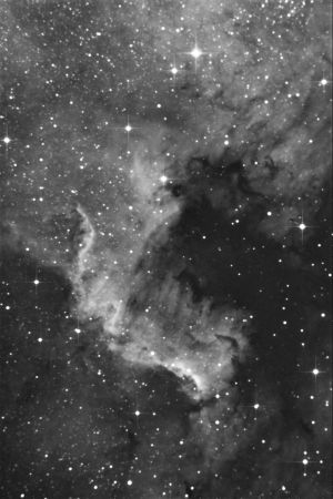 Ngc 7000